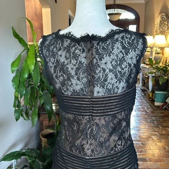 Tadashi Shoji Chantilly Lace Boatneck Sheath Midi Dress sz12 - Picture 10 of 16